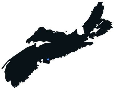 we have rapidly grown into one of